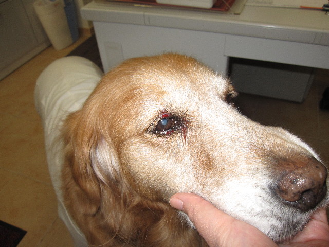 ファイル 1200-2.jpg