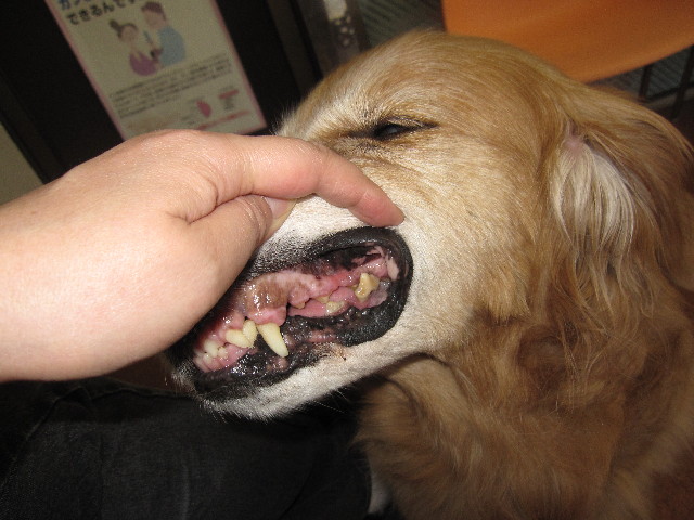 ファイル 1200-3.jpg