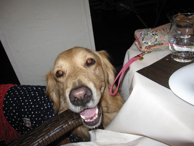 ファイル 1201-3.jpg