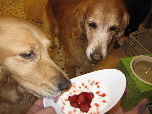 ファイル 1202-3.jpg