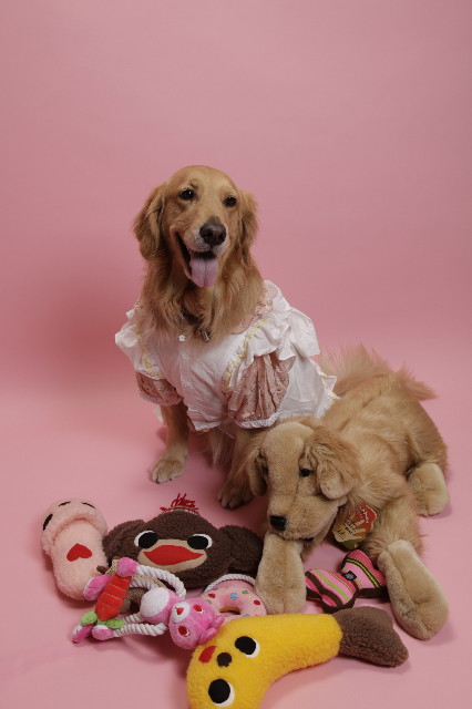 ファイル 1207-2.jpg