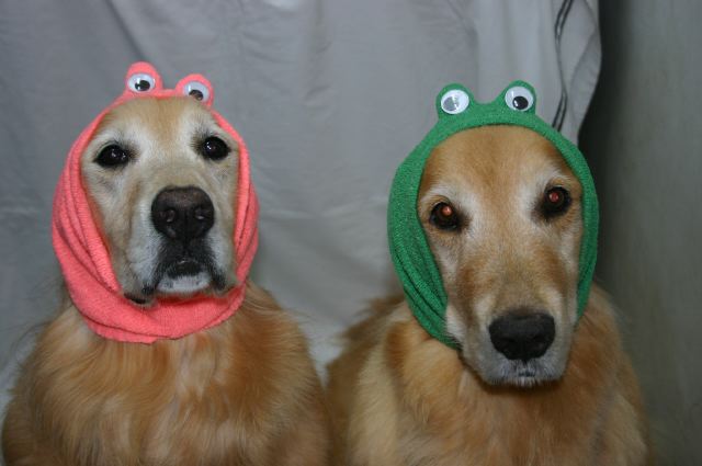 ファイル 121-5.jpg