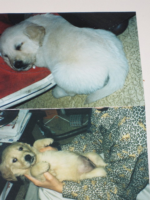 ファイル 1210-2.jpg