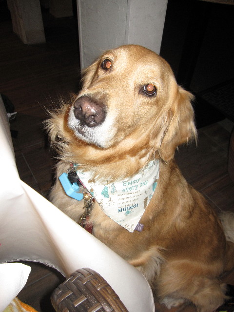 ファイル 1211-1.jpg