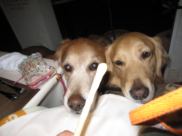 ファイル 1211-2.jpg