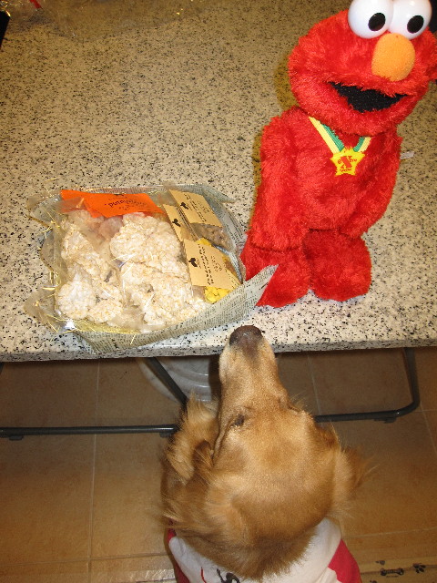 ファイル 1215-2.jpg