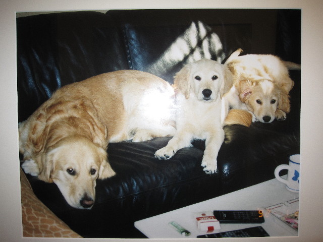 ファイル 1216-1.jpg