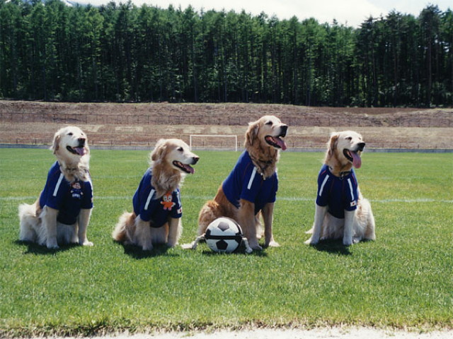 ファイル 1216-4.jpg