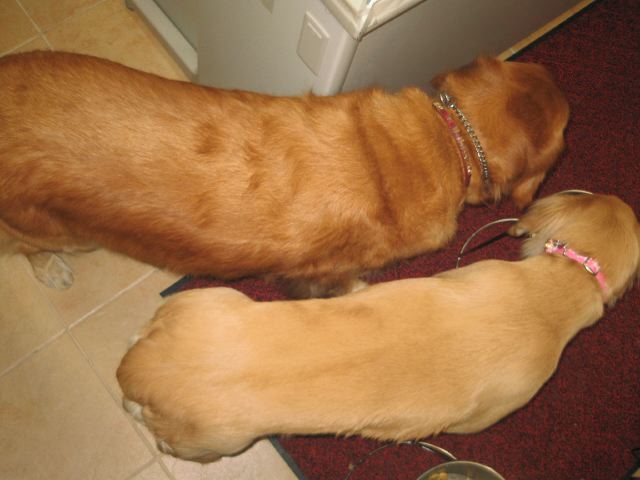 ファイル 122-2.jpg