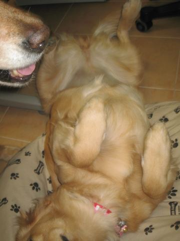 ファイル 122-4.jpg