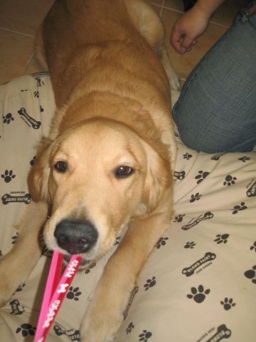 ファイル 122-5.jpg