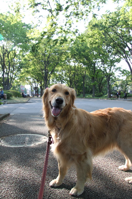 ファイル 1221-2.jpg