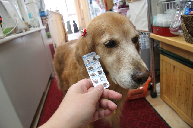 ファイル 1221-4.jpg