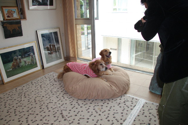 ファイル 1221-5.jpg