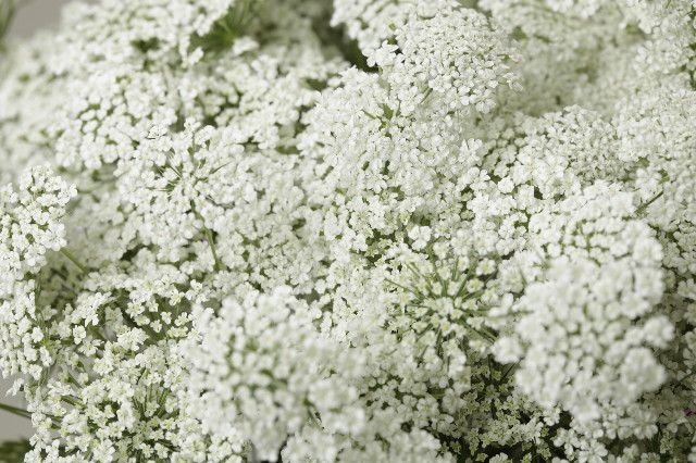 ファイル 1222-3.jpg