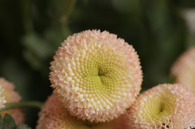 ファイル 1222-5.jpg