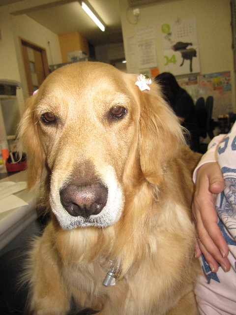 ファイル 1223-2.jpg