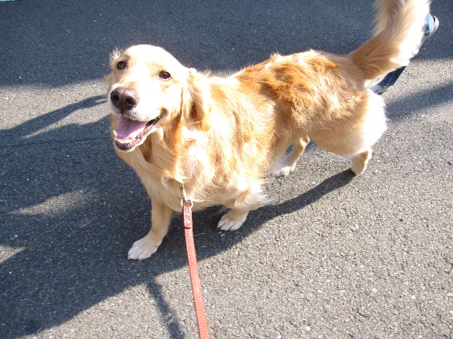 ファイル 1223-5.jpg