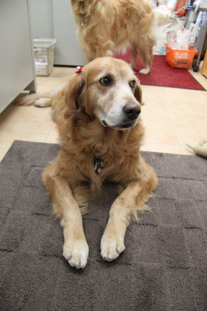 ファイル 1224-5.jpg