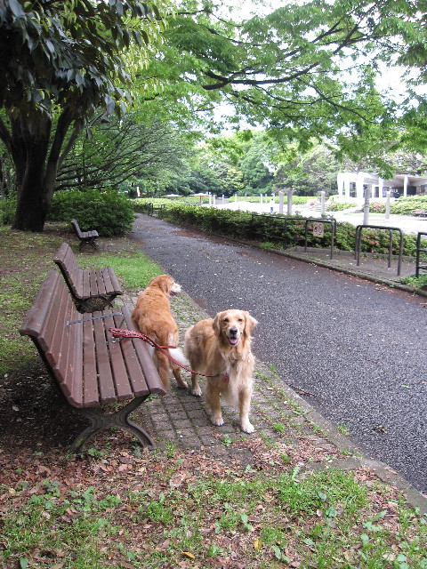 ファイル 1226-3.jpg