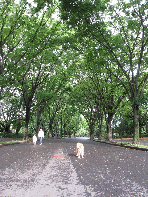 ファイル 1226-4.jpg