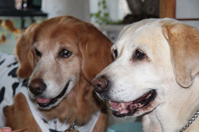 ファイル 1227-2.jpg