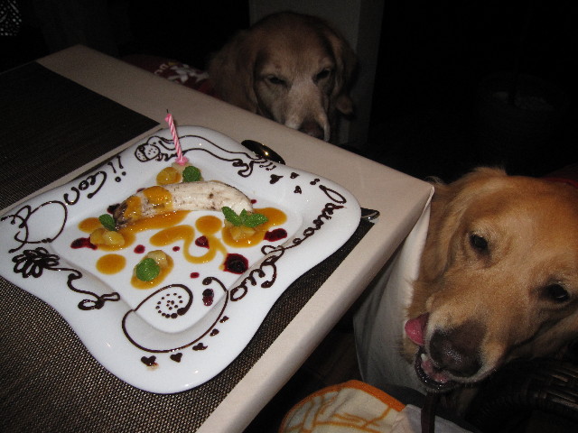 ファイル 1228-4.jpg