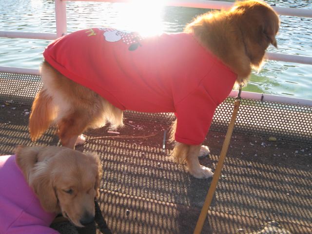 ファイル 123-4.jpg