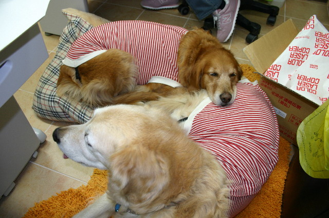 ファイル 1230-3.jpg