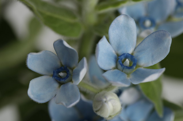 ファイル 1232-4.jpg