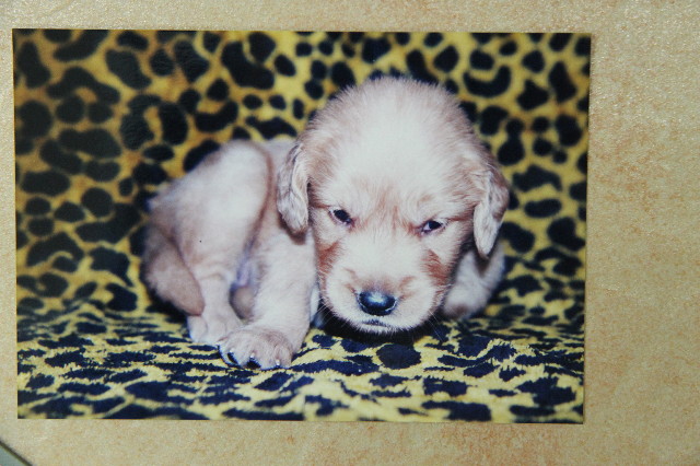 ファイル 1234-4.jpg