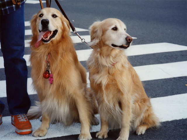 ファイル 1235-3.jpg