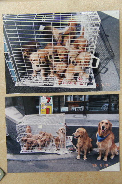 ファイル 1235-4.jpg