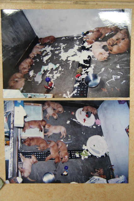 ファイル 1235-5.jpg