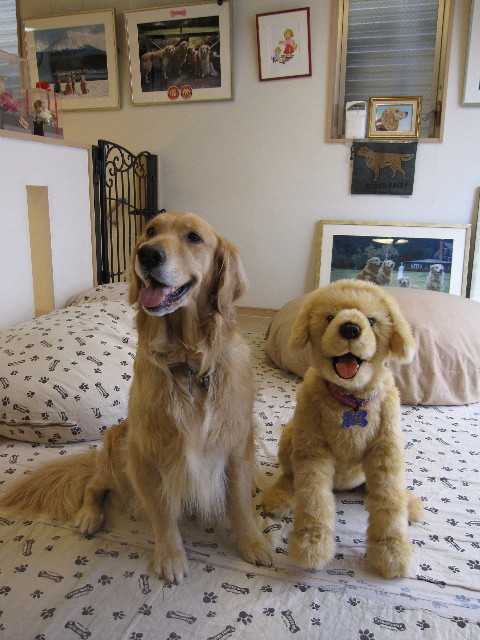 ファイル 1238-1.jpg