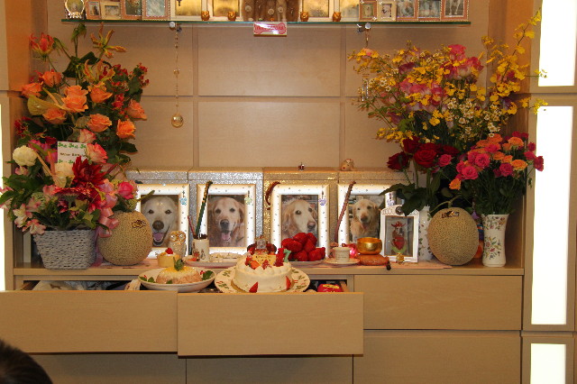 ファイル 1238-2.jpg