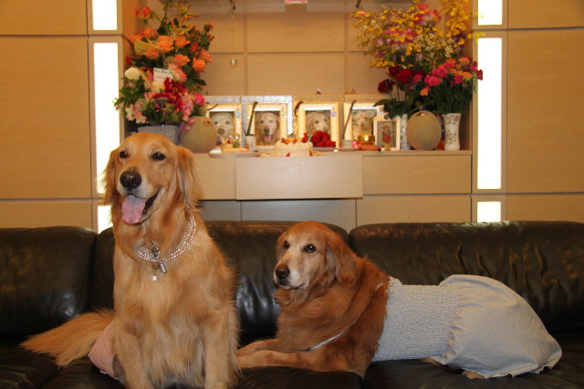 ファイル 1238-3.jpg