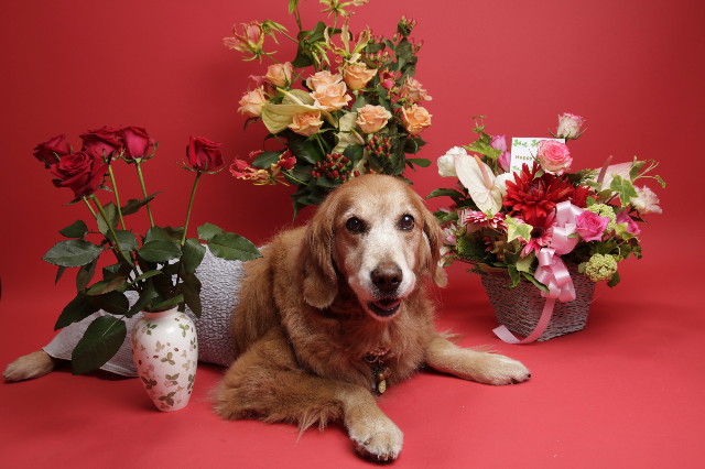 ファイル 1238-4.jpg