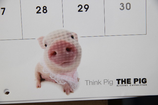 ファイル 1239-4.jpg