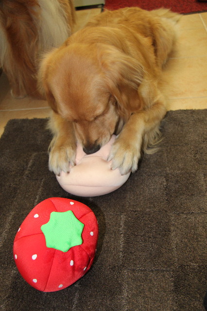 ファイル 1240-4.jpg