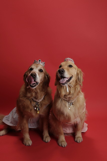 ファイル 1240-5.jpg