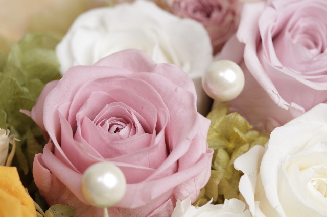 ファイル 1241-2.jpg