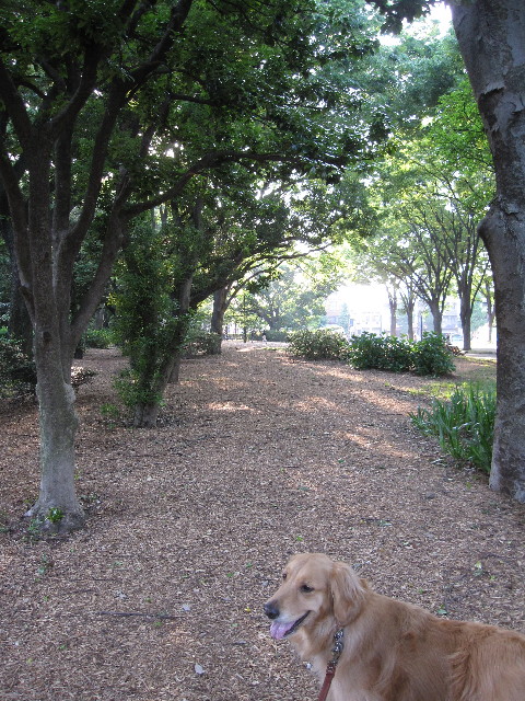 ファイル 1242-1.jpg