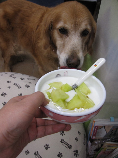 ファイル 1247-4.jpg