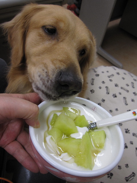 ファイル 1247-5.jpg