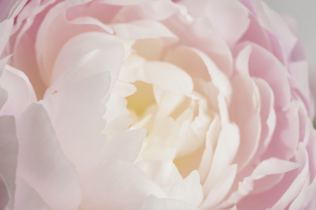 ファイル 1249-2.jpg