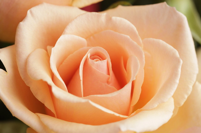 ファイル 1249-3.jpg