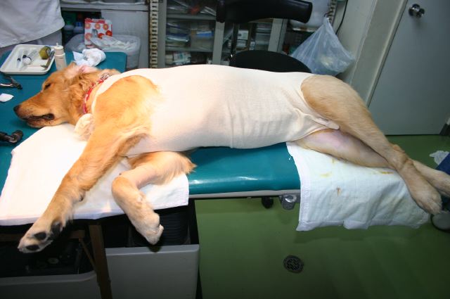 ファイル 125-1.jpg