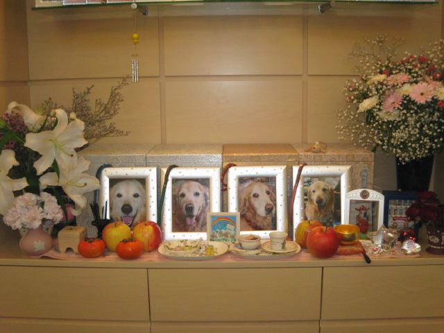 ファイル 125-4.jpg