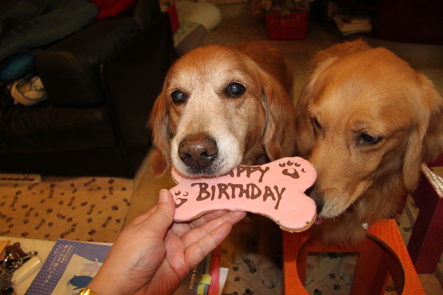 ファイル 1250-4.jpg